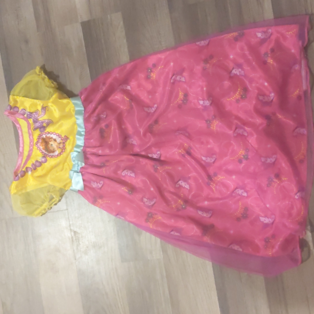 Fancy Nancy girls nightgown